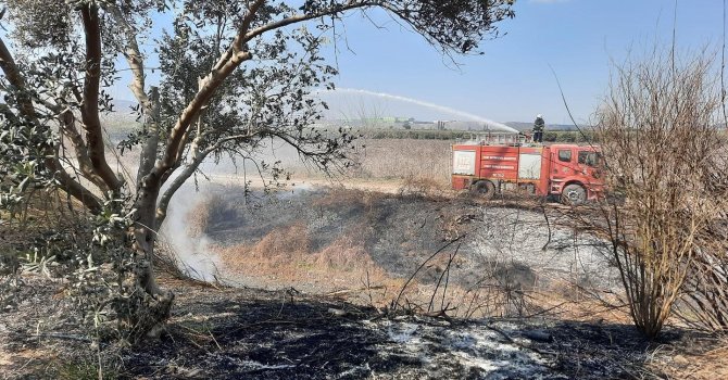 Erzin’de sazlık alan yangını