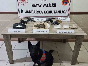 Jandarma ekipleri Şubat ayında 61 şahıs hakkında yasal işlem yaptı