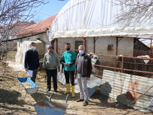 Büyükşehir’in besicilere desteği sürüyor