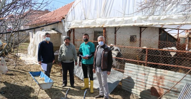 Büyükşehir’in besicilere desteği sürüyor  