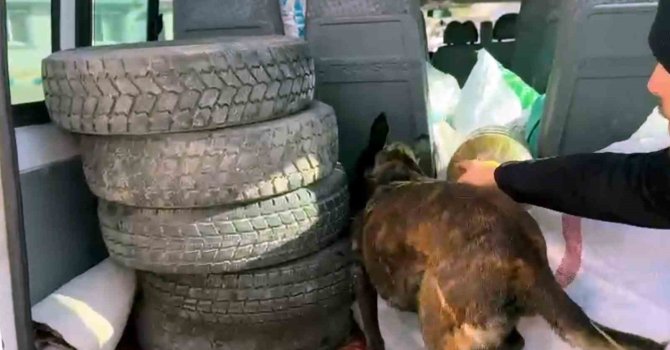 10 kilo uyuşturucu yakalattı, "Şeker sanıyordum" savunması yaptı