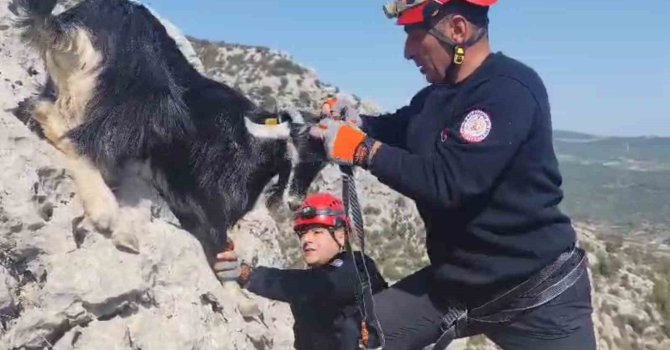 Kayalıklarda mahsur kalan keçiler 4 gün sonra kurtarıldı
