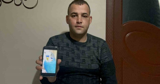 Evladım gibiydi dediği 6 yıllık kuşunu bulana 20 bin TL ödül verecek