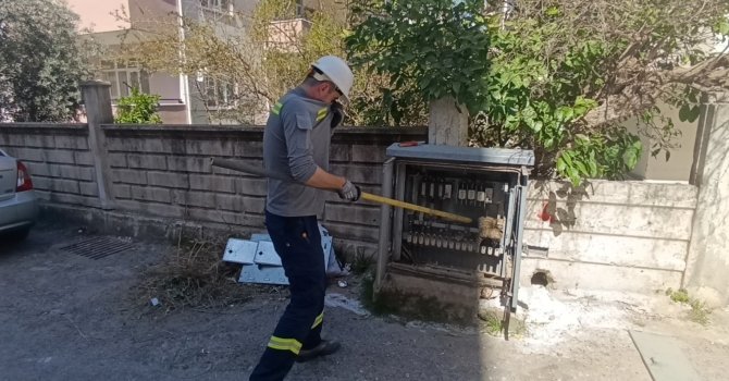 Elektrik baksına giren kedi akıma kapılarak telef oldu