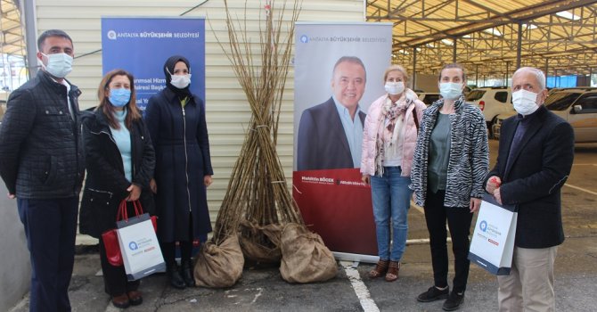 Gazipaşalı kadın girişimcilere dut fidanı desteği
