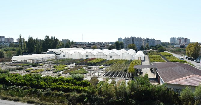 2 milyon 743 bin çiçek Antalya’yı güzelleştiriyor