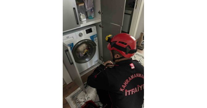 Çamaşır makinesindeki kedi kurtarıldı