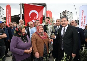 Osmaniye’de üreticiye 11 bin 500 sertifikalı zeytin fidanı dağıtıldı
