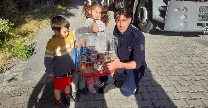 Ağaçta mahsur kalan papağanı itfaiye kurtardı