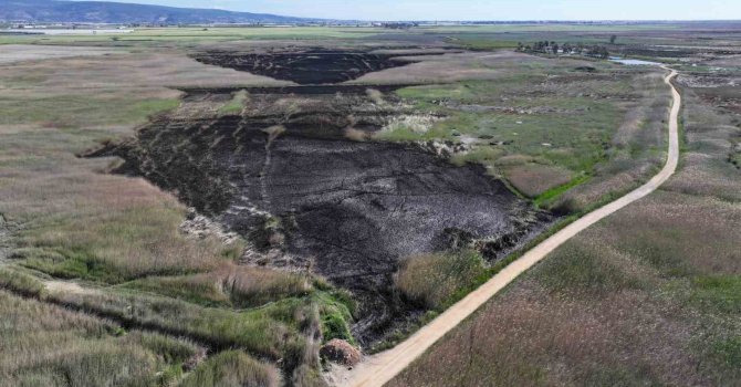 Kuş cenneti Göksu Deltası, yangın sonrası dronla görüntülendi