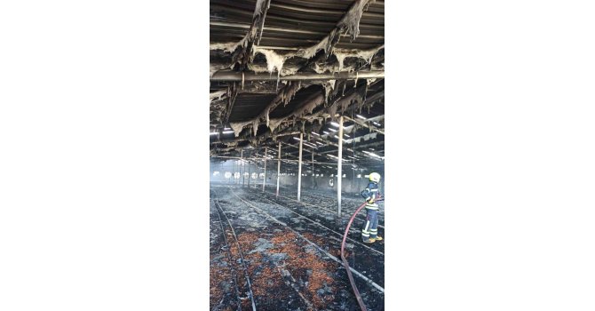 Tarsus’ta tavuk çiftliğinde yangın