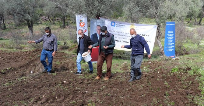 Büyükşehir’den arı yetiştiricilerine destek