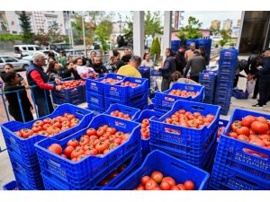 Zirai dona karşı Muratpaşa’dan 10 tonluk domates desteği
