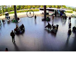 Adana’dan otobüsle Antalya’ya 300 civciv gönderdiler