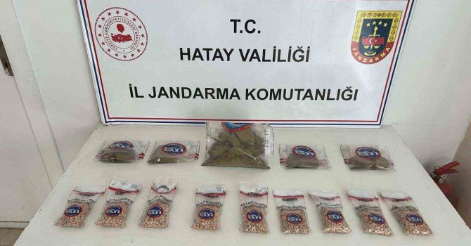 Ağaçın altından uyuşturucu hap ve esrar çıktı