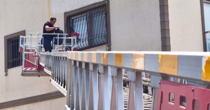 Pencere korkuluklarında mahsur kalan kediyi itfaiye kurtardı