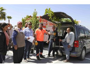 Mersin’de üreticilere Trabzon hurması fidanı dağıtılıyor
