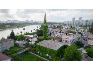 Adana’nın Botanik Bahçesi "Yeşil Cami" sarmaşıklara büründü