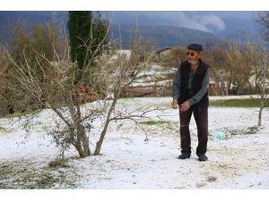 Dolu yağışının zarar verdiği sera ve zeytin bahçelerinde hasar tespit çalışması yapılıyor