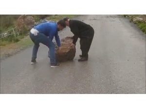 Yağmur sonrası yola kayalar düştü