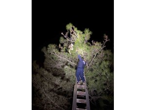 Ayağına misina dolanan leyleğe itfaiyeden hayat kurtaran müdahale