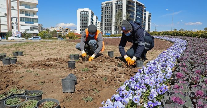 Büyükşehir’den kuraklığa dayanıklı çim üretimi