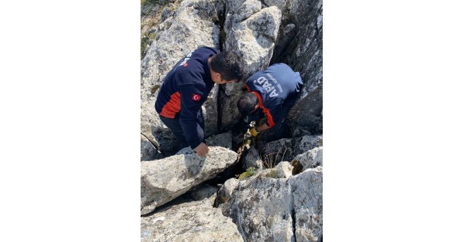 Burdur’da kayalıklar arasında sıkışan keçi kurtarıldı