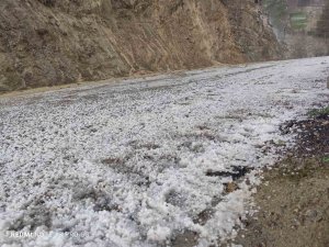 Adana’da dolu yağışı tarım arazilerini beyaza bürüdü