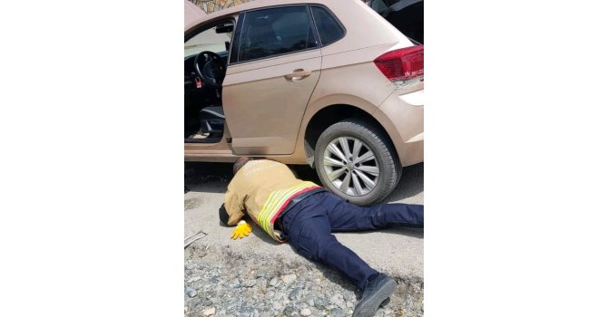 Aracın kaputuna giren yavru kediyi itfaiye kurtardı