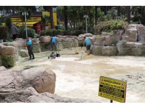 Alanya’da süs havuzları yaz sezonuna hazırlanıyor