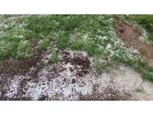 Afşin’de dolu tarım arazilerine zarar verdi