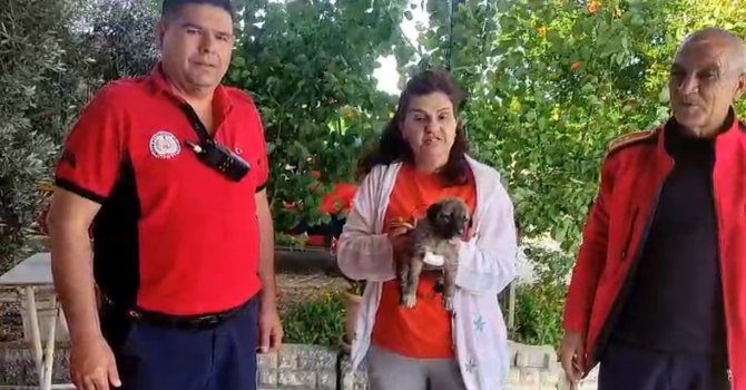 Su kenarında mahsur kalan köpeği itfaiye kurtardı