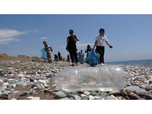Caretta carettaların yuvalama alanları temizlendi