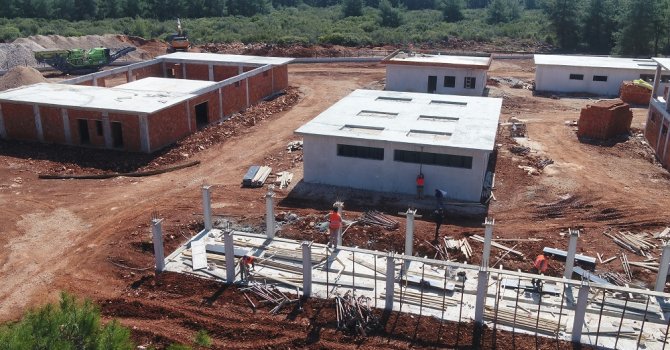 Sokak Hayvanları Bakım Evi Projesi sürüyor