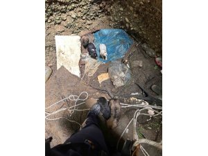 Antalya’da kuyuya düşen 7 yavru köpeği itfaiye kurtardı