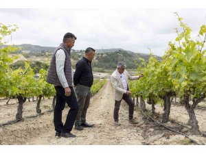 Mersin’de üreticilere damlama sulama sistemi anlatılıyor