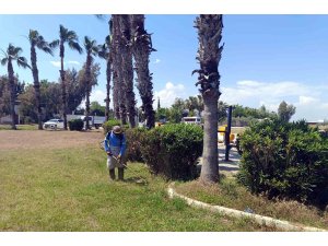 Akdeniz’de park ve bahçelere yaz bakımı