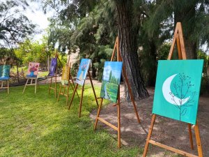 Adana’da 13 yaşındaki ikizler sergi açtı