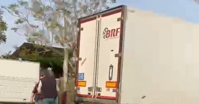 Gazipaşa’da sebze yüklü tır refüjdeki palmiye ağacına çarptı: 1 yaralı