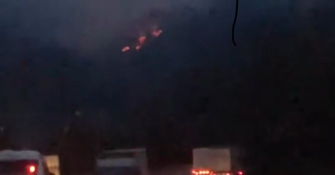 Adana’da iki noktada çıkan orman yangınları kontrol altına alındı