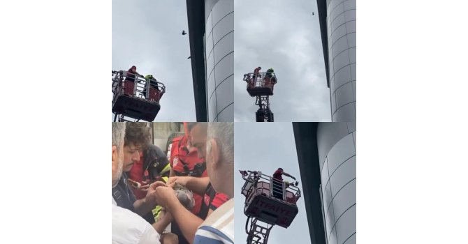 Mersin’de çatıda mahsur kalan güvercini itfaiye kurtardı