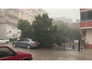 Osmaniye’de fırtına ağaçları kökünden söktü