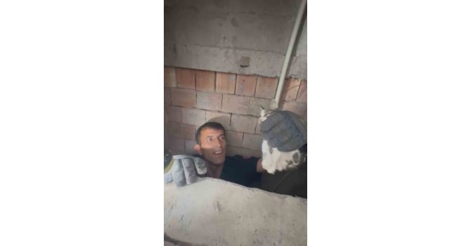 Bina boşluğuna düşen yavru kedi itfaiye ekiplerince kurtarıldı