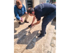 Aracın altına sıkışan yavru kediyi itfaiye kurtardı