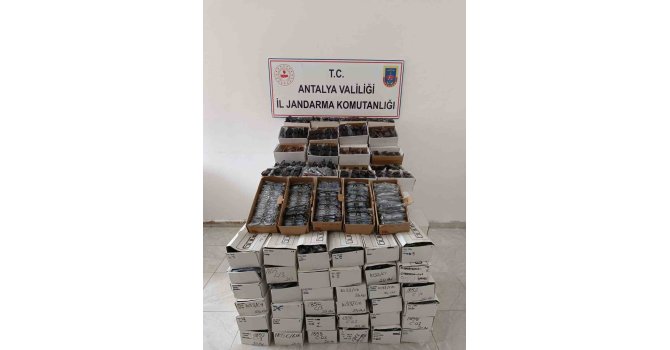 Gazipaşa’da araçta 3 bin kaçak gözlük ele geçirildi