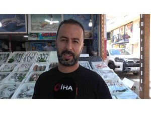 Oltasına takılan köpek balığı yavrusunu arkadaşına nispet yaparak denize bıraktı