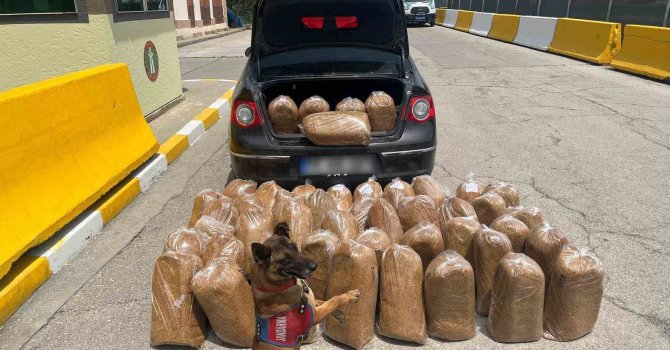 Mersin’de kaçak tütün ve makaron operasyonu: 4 gözaltı