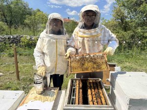 Antalya’da arıcılar yeni sezona hazırlanıyor