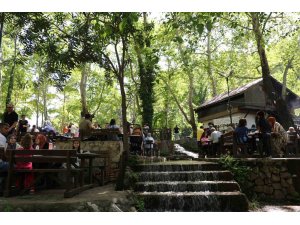 Sıcaktan kaçanlar, tabiat parkında serinledi