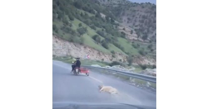 Telef olduğu iddia edilen köpeği motosikletle sürüklediler